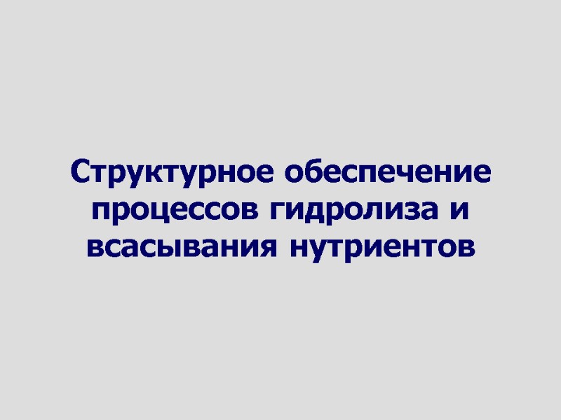 Структурное обеспечение процессов гидролиза и всасывания нутриентов